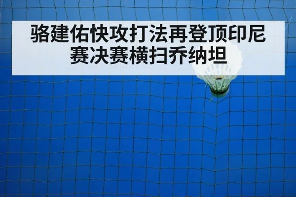 badminton net play